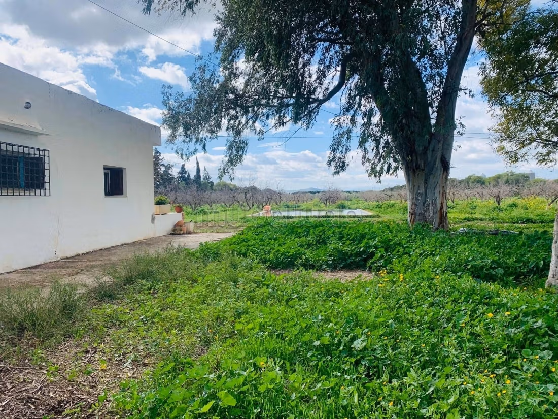Ferme Vente Zaghouan Zaghouan Tunisie