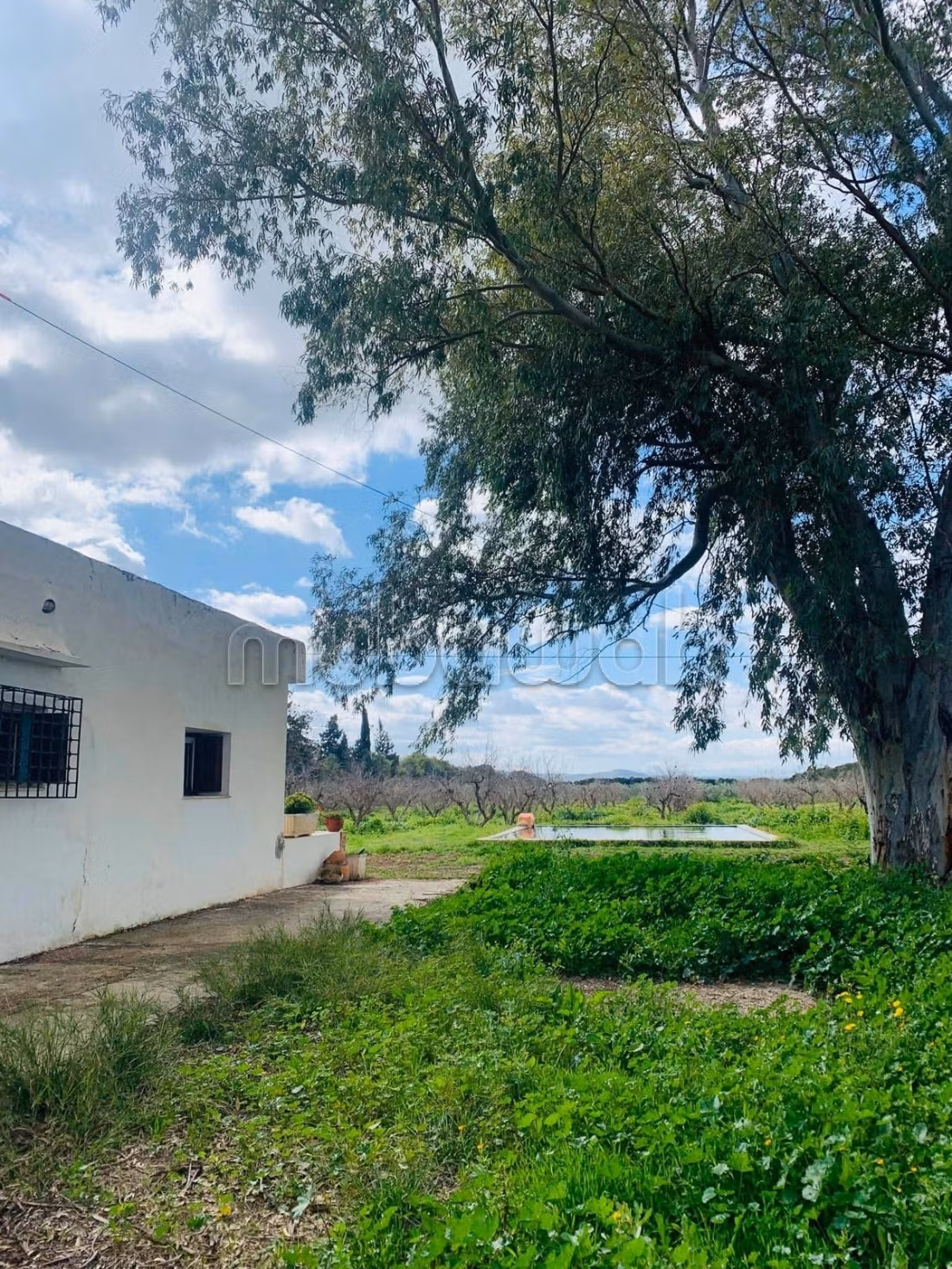 Ferme Vente Zaghouan Zaghouan Tunisie