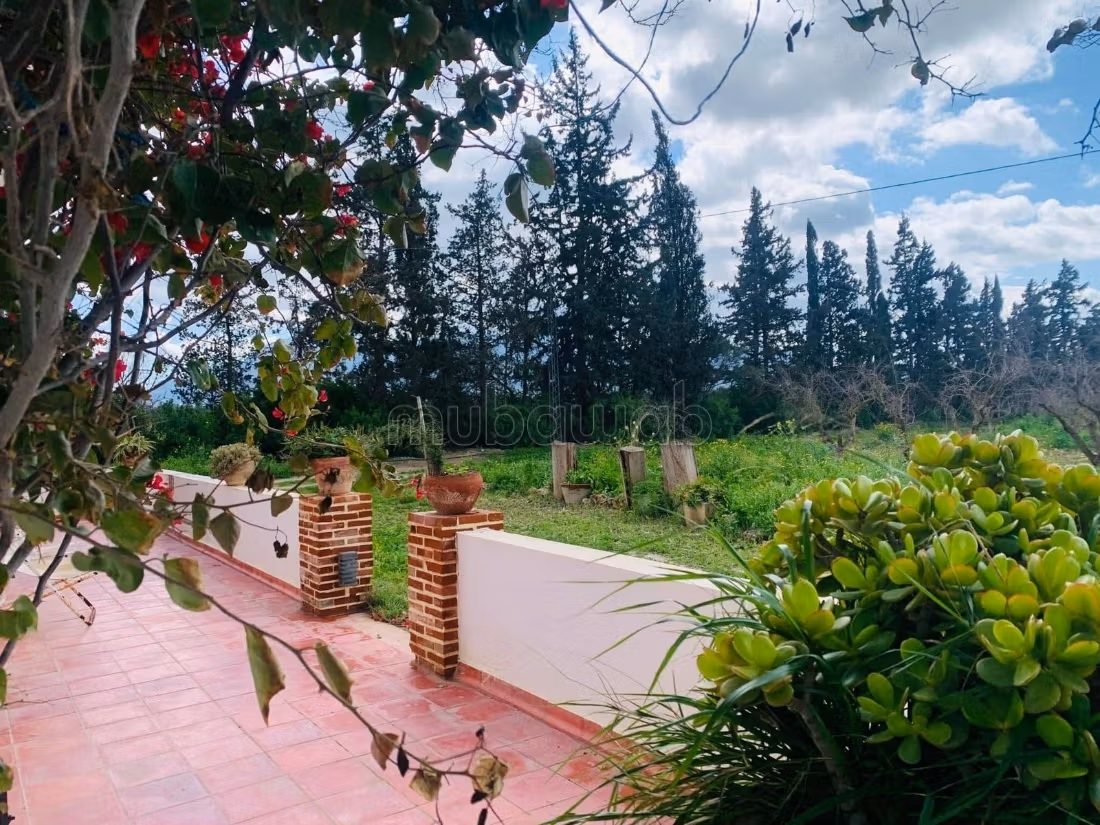 Ferme Vente Zaghouan Zaghouan Tunisie