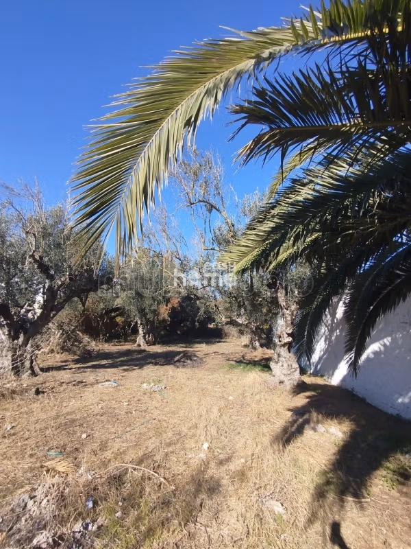 Terrain agricole de 538 m²
