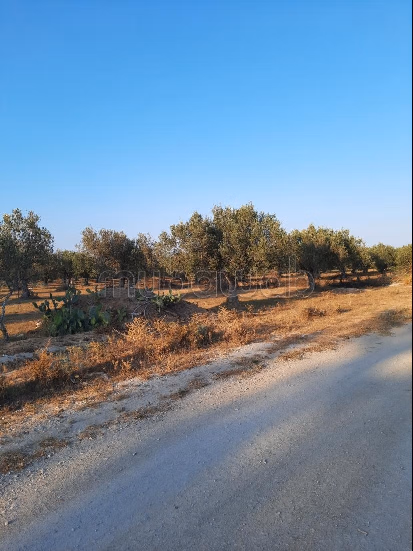 À vendre Terrain à Bouficha près de la zone inde