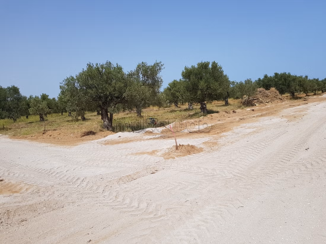 À vendre Terrain à Bouficha près de la zone inde