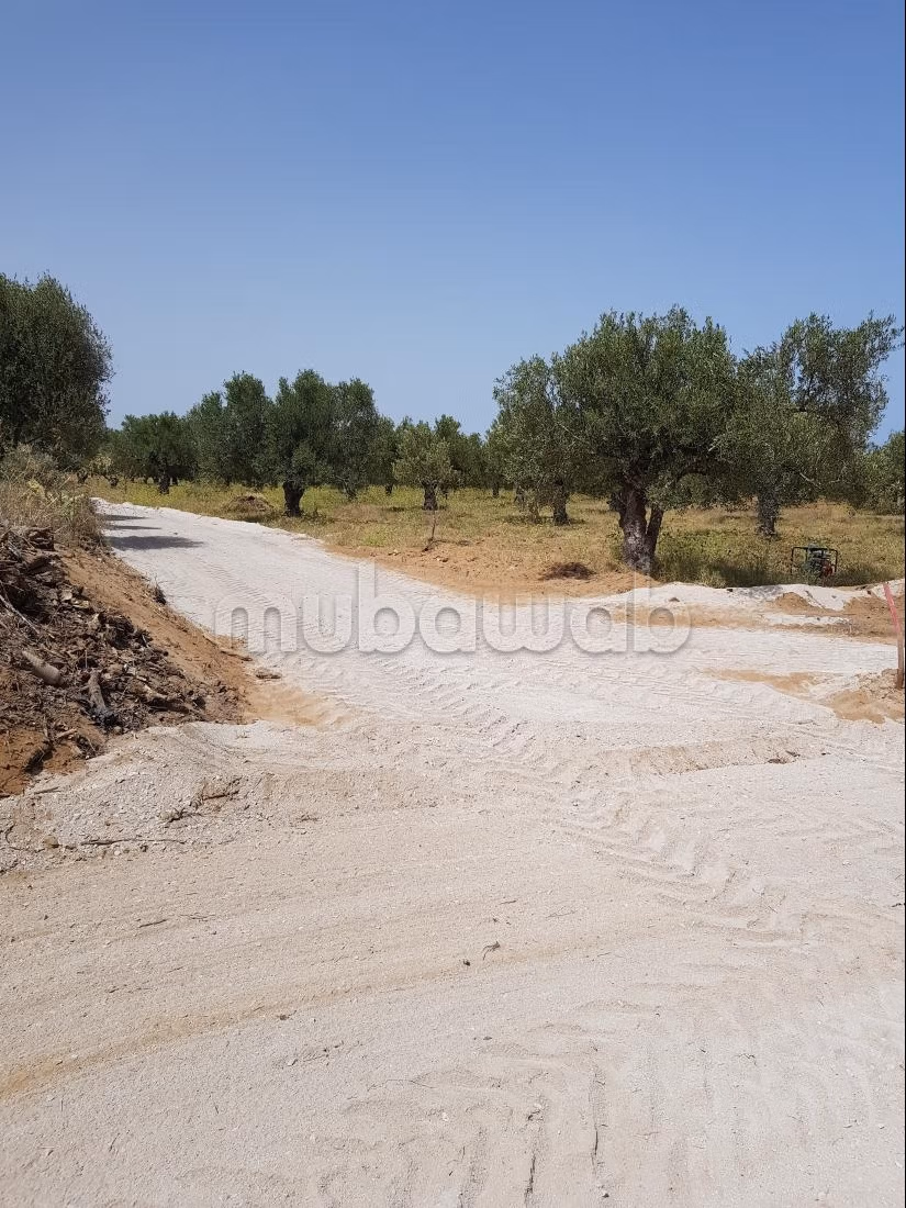 À vendre Terrain à Bouficha près de la zone inde