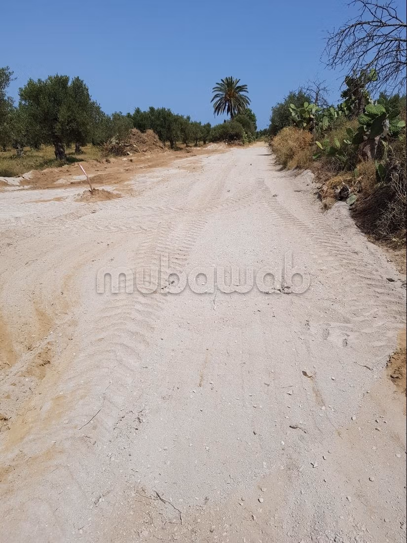 À vendre Terrain à Bouficha près de la zone inde