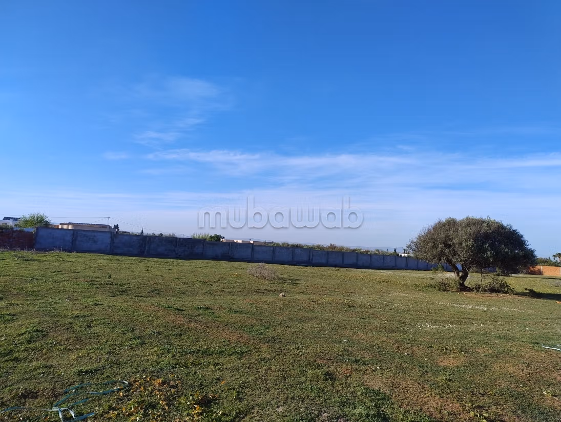 RARE OPPORTUNITY Land with Individual Title