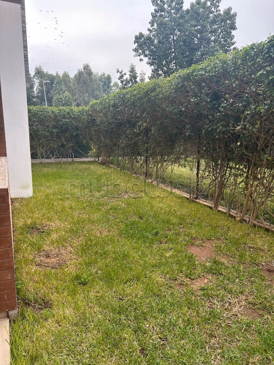Appartement 239 m² f Ville Verte — 14