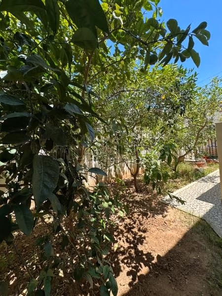 Villa espandibile per due piani con appartamento a pianterreno e studio