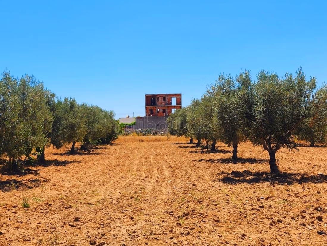 Projet de 8 lots à Ghennada Monastir Terrin loti