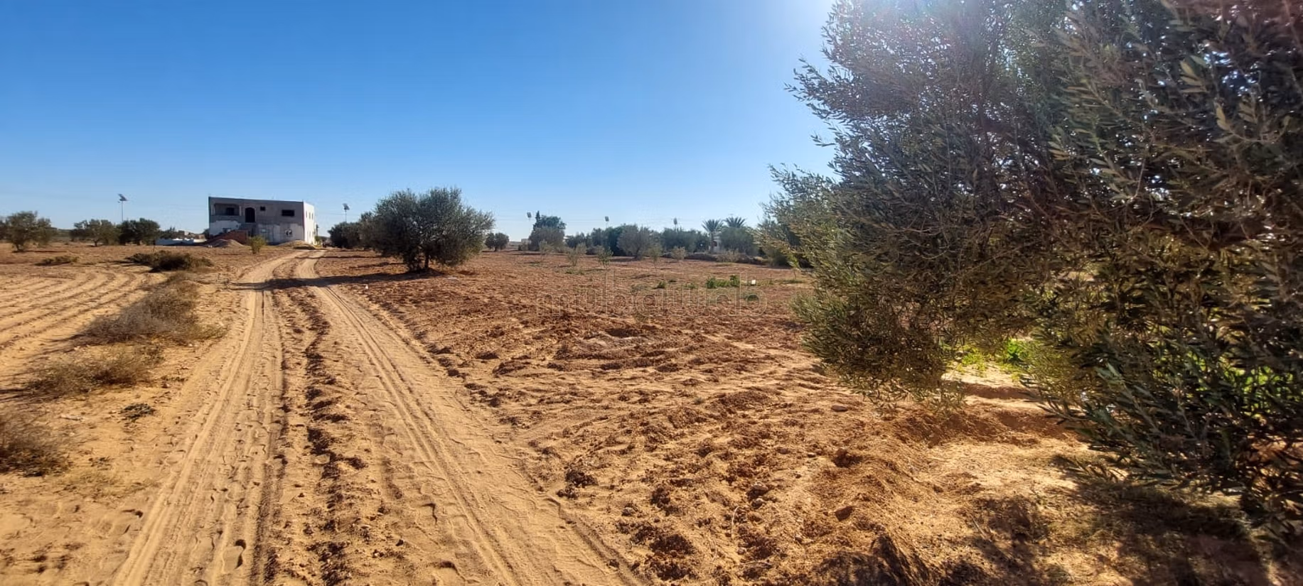 Ferme à vendre. Superficie 10000 m²
