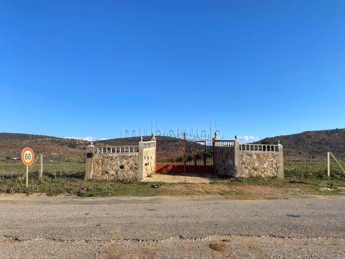 Terrain Agricole Titré près de Tanger ain jdioui
