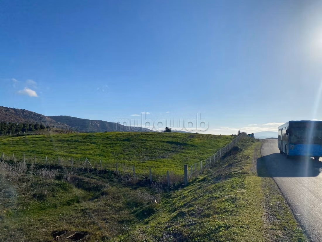 Terrain Agricole Titré près de Tanger ain jdioui