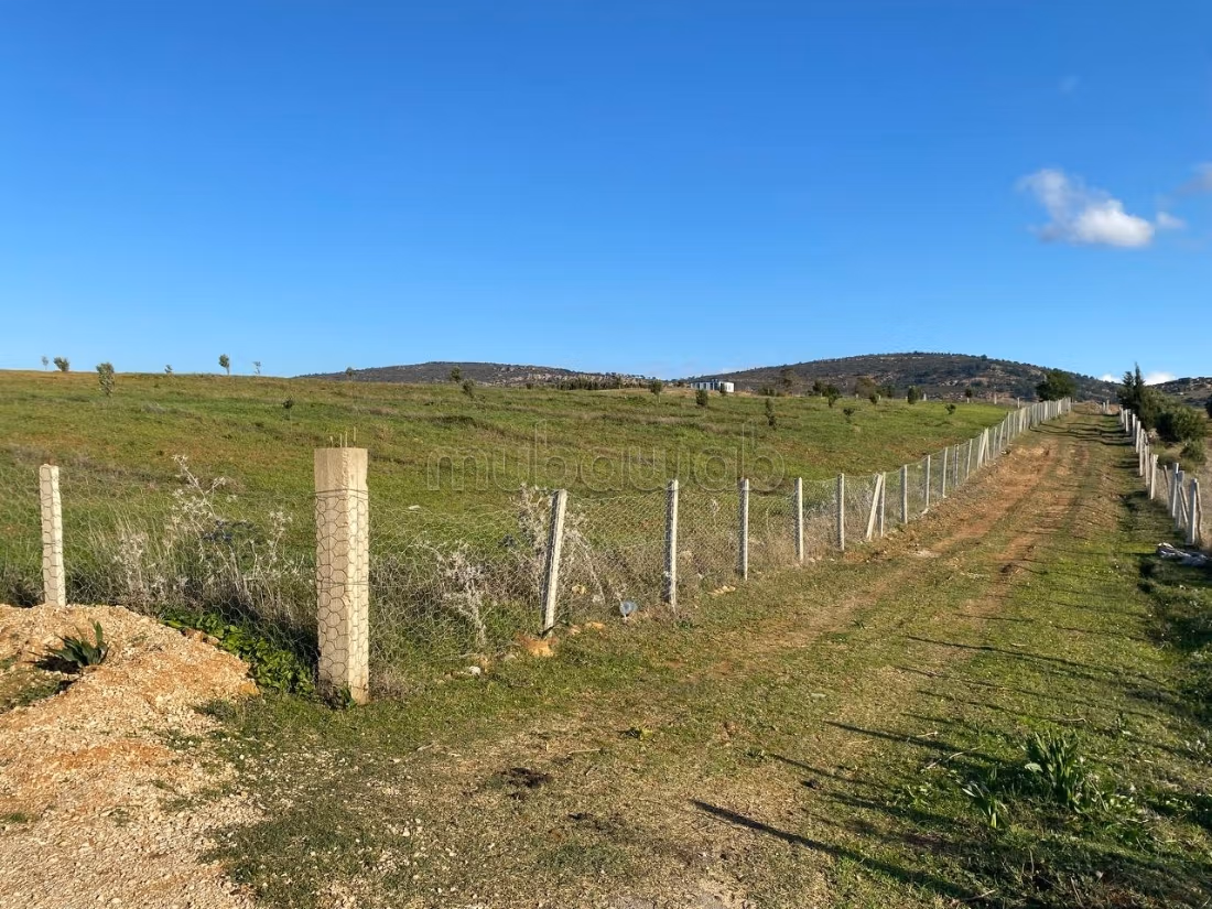 Terrain Agricole Titré près de Tanger ain jdioui