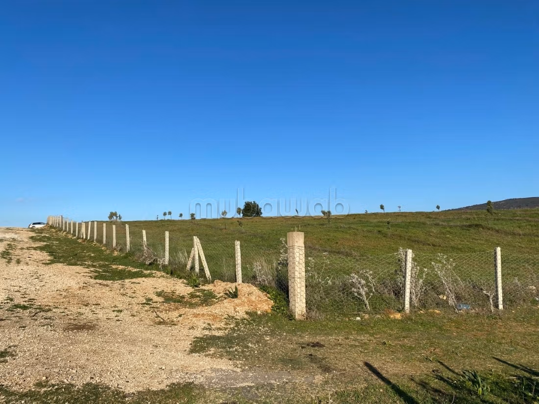 Terrain Agricole Titré près de Tanger ain jdioui