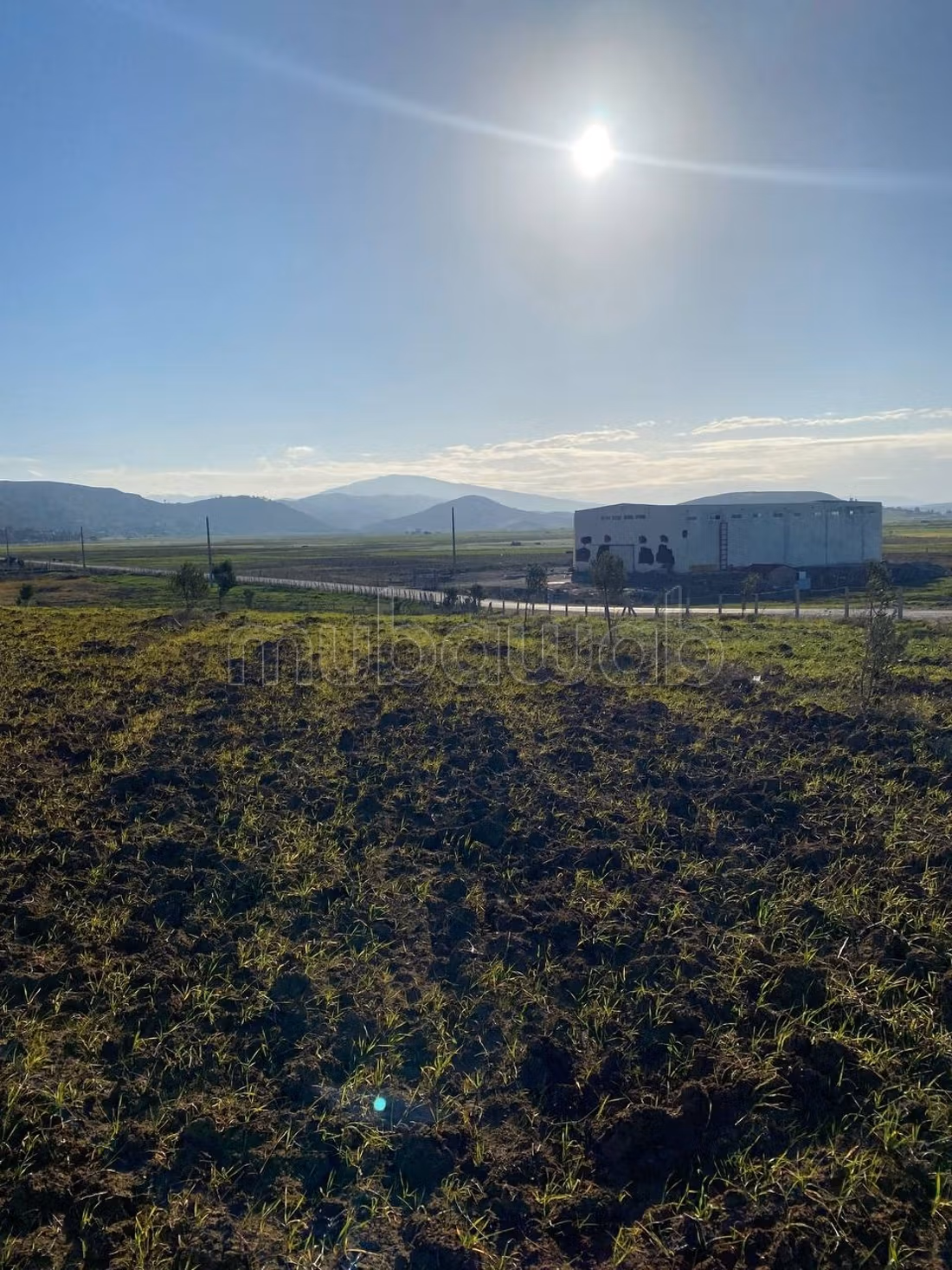Terrain Agricole Titré près de Tanger ain jdioui