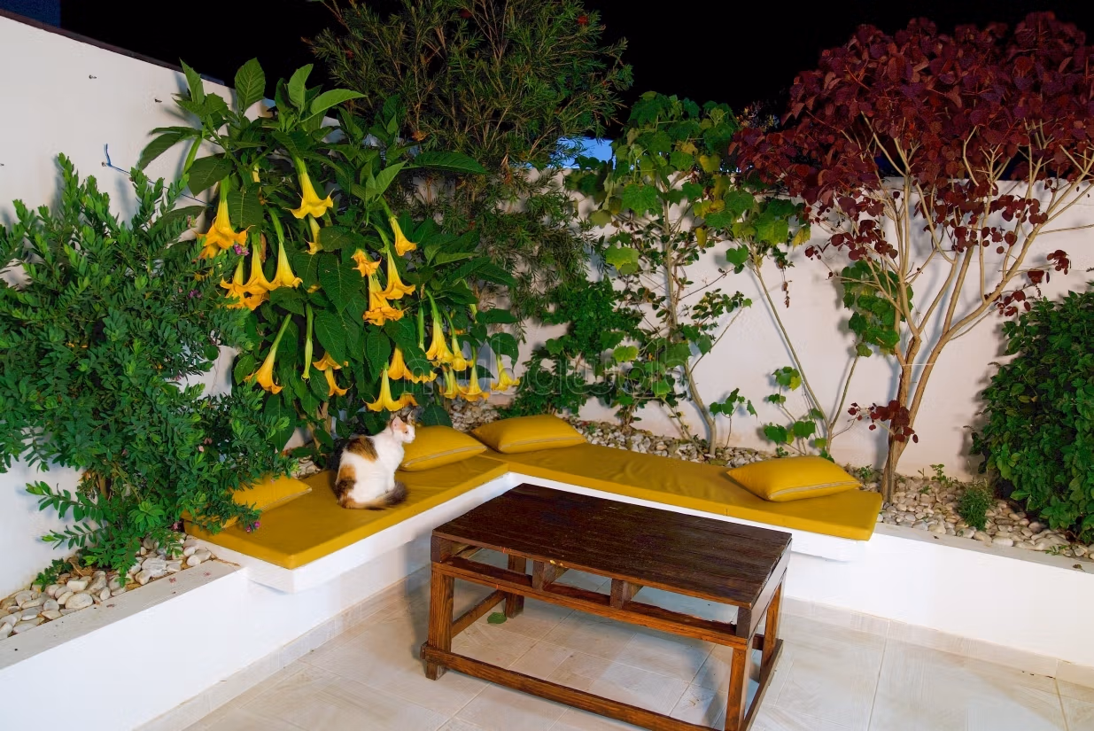 Dar Nouha, Villa e Piscina a Ras Jebel