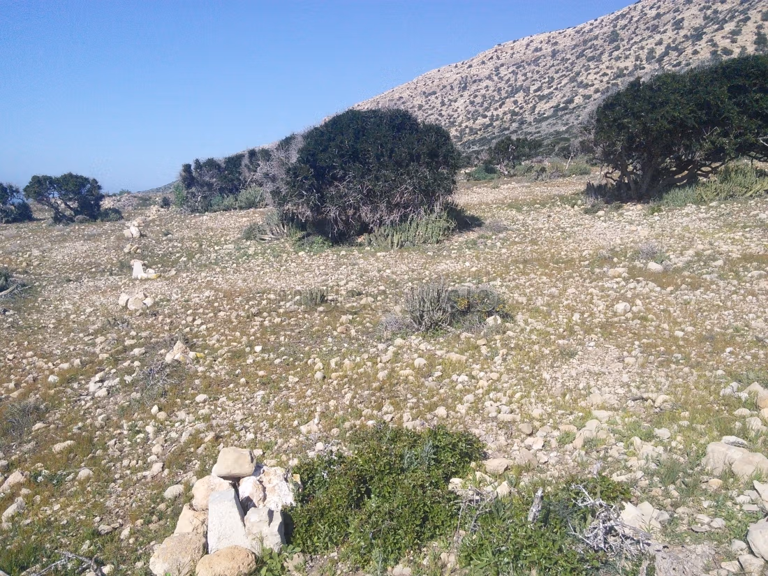 Terrain d'Exception en Bord de Mer au Cap Ghir