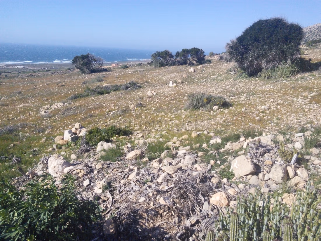 Terrain d'Exception en Bord de Mer au Cap Ghir