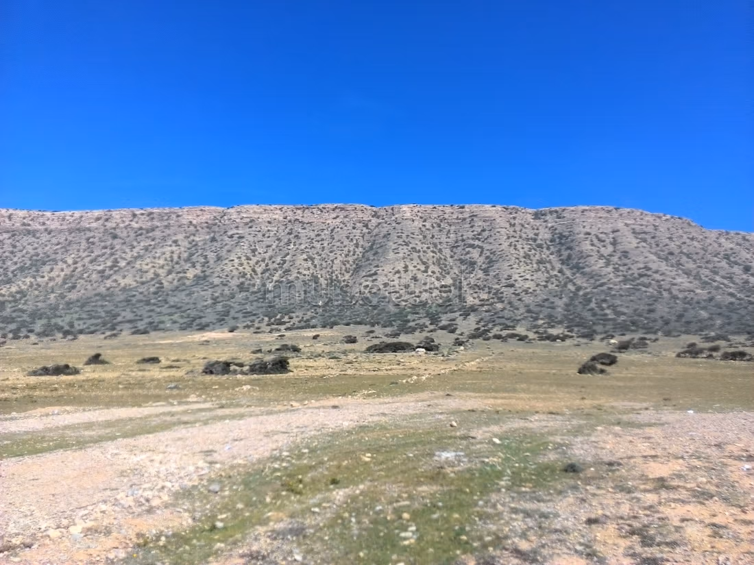 Terrain d'Exception en Bord de Mer au Cap Ghir