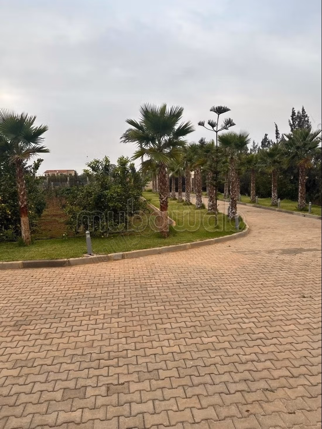 Magnífica Finca titulada de 1 ha a la venta Benslimane