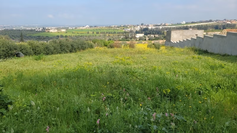 À vendre, Terrain à Saïda – Gouvernornorat de la Manouba
