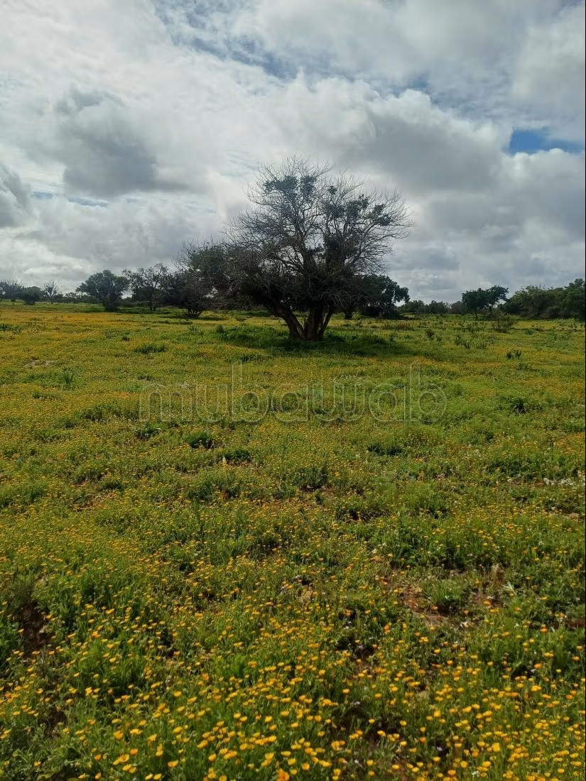 Terrain de 1ha