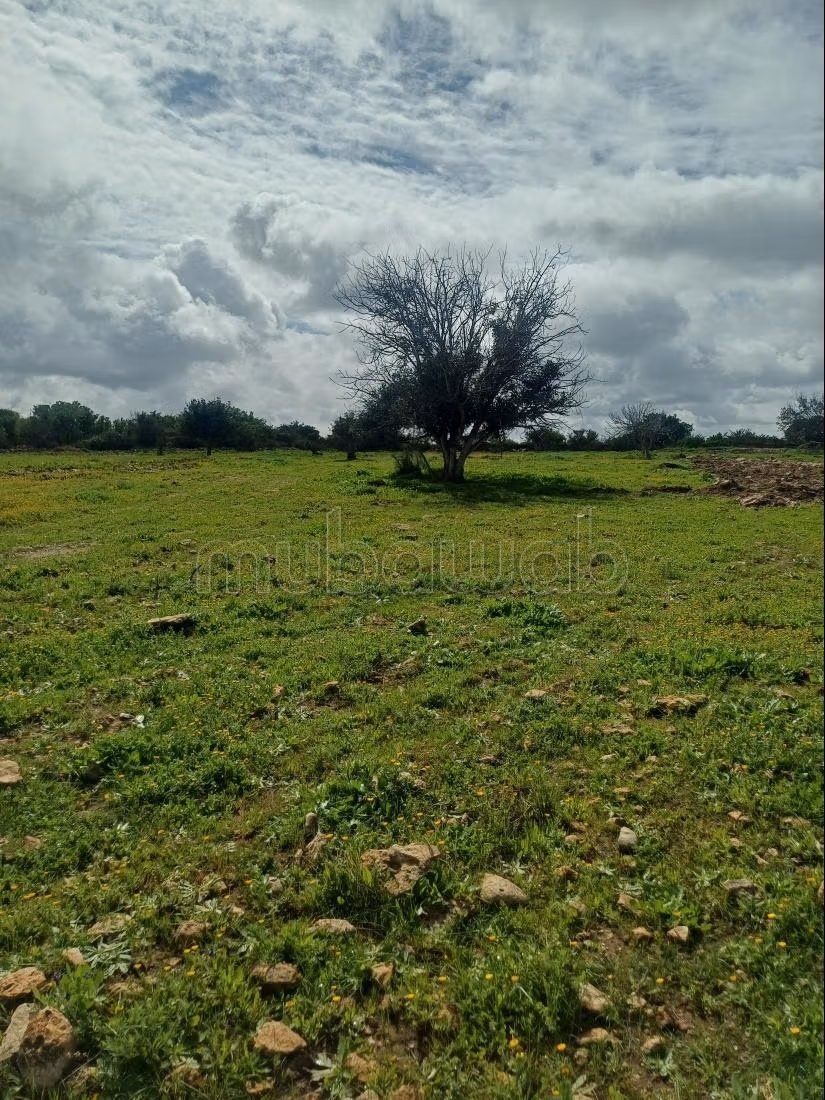 Terrain de 1ha