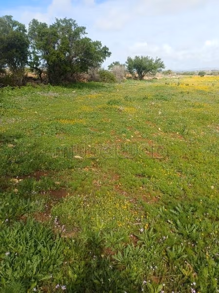 Terrain de 1ha