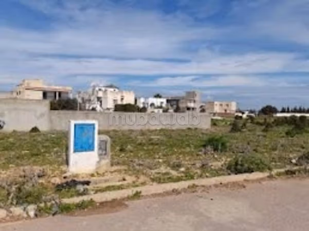 À vendre terrain à Raoued