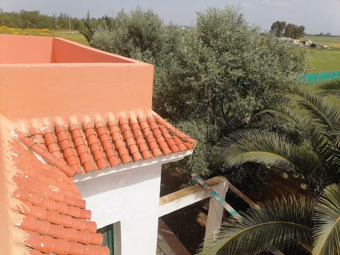 Finca con título a la venta a 11 km de Benslimane