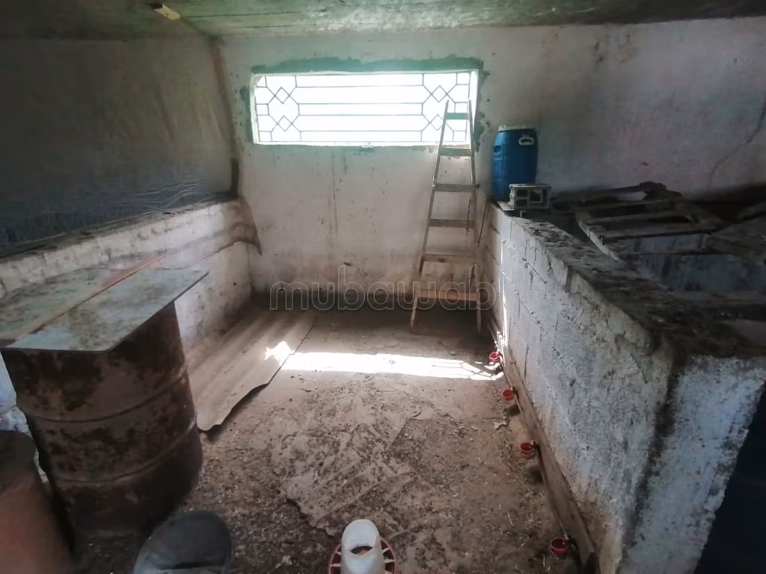 Finca con título a la venta a 11 km de Benslimane