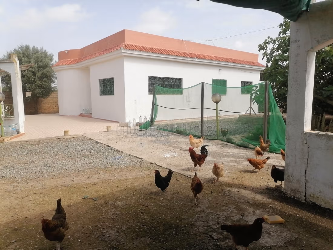 Finca con título a la venta a 11 km de Benslimane