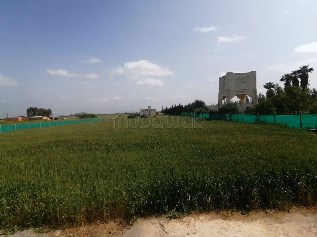 Finca con título a la venta a 11 km de Benslimane