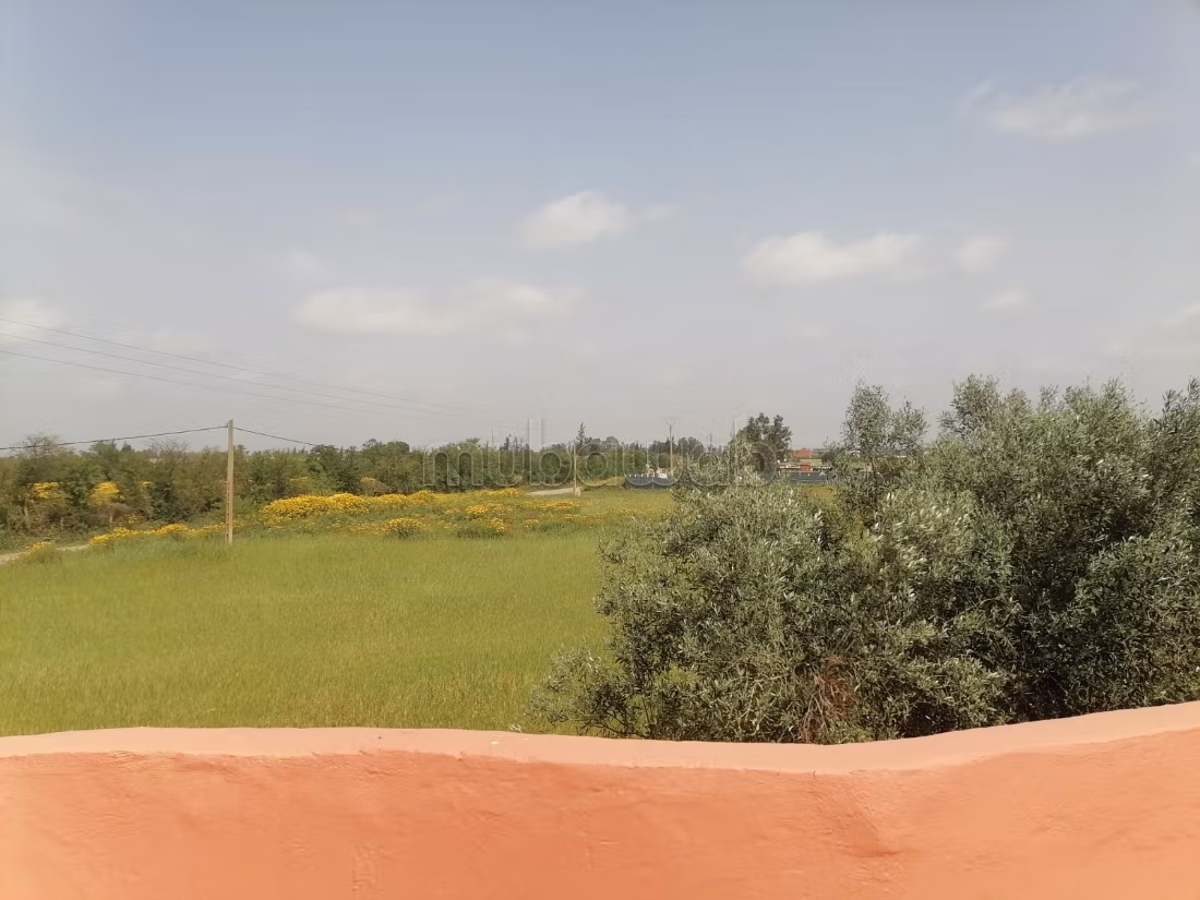 Finca con título a la venta a 11 km de Benslimane