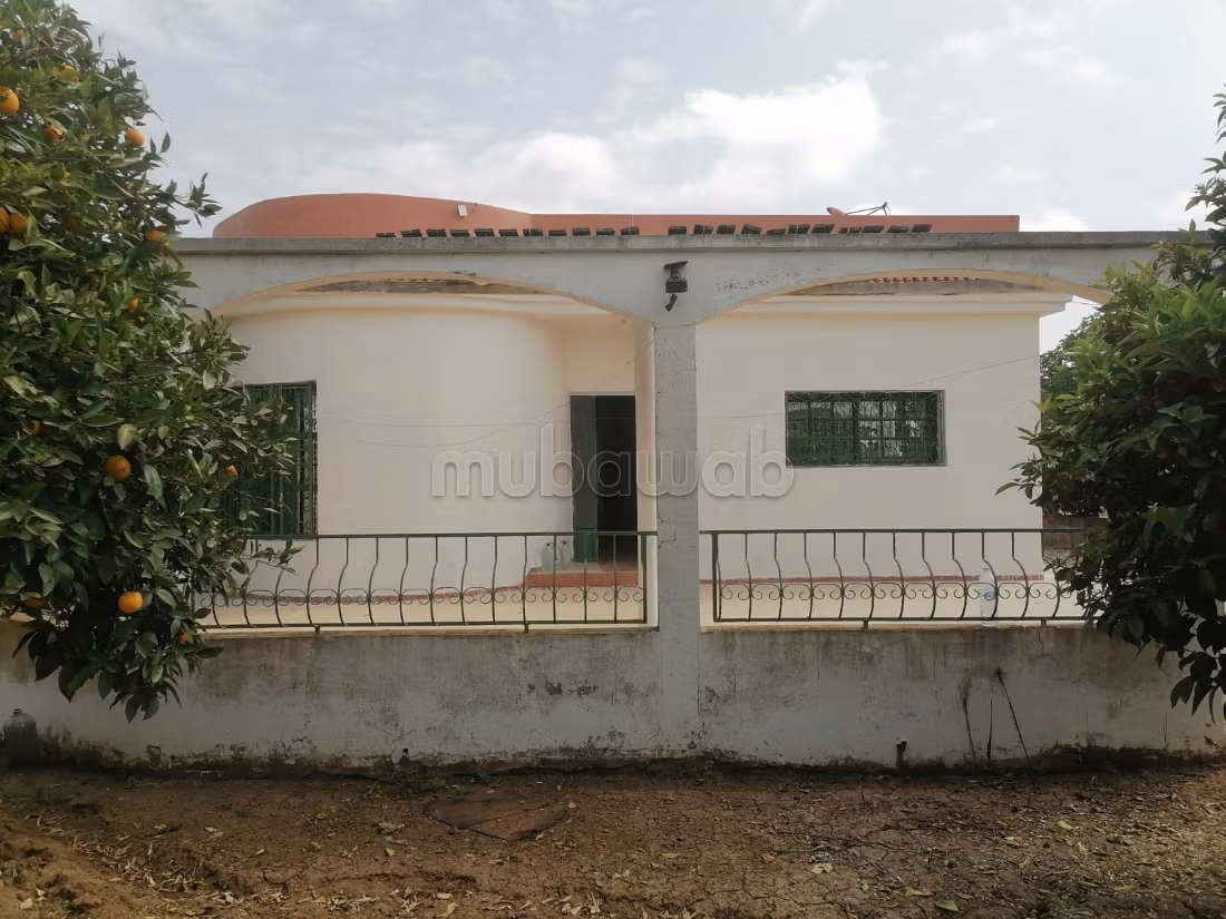 Finca con título a la venta a 11 km de Benslimane