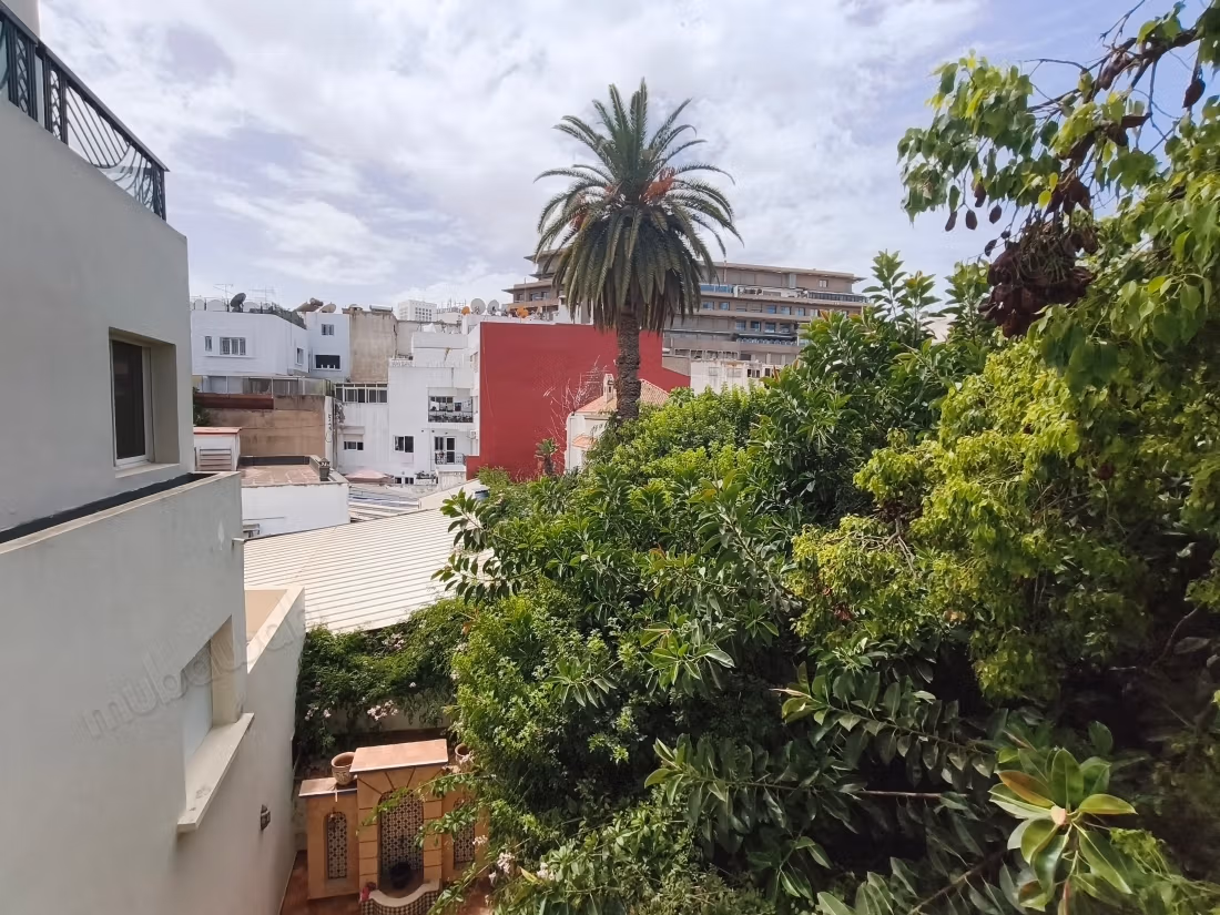 Beautiful bright apartment in Gauthier for rent