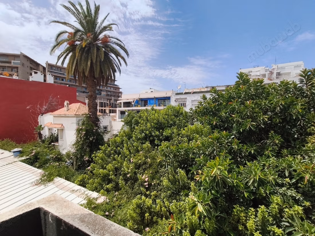 Beautiful bright apartment in Gauthier for rent