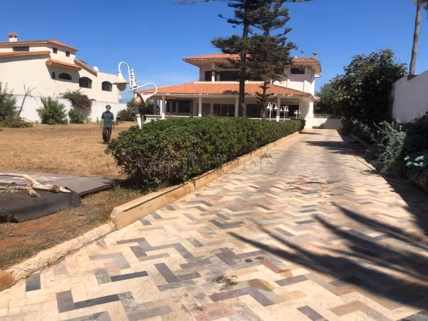 Terrain Villa habitation ou commerciale plein Bd F