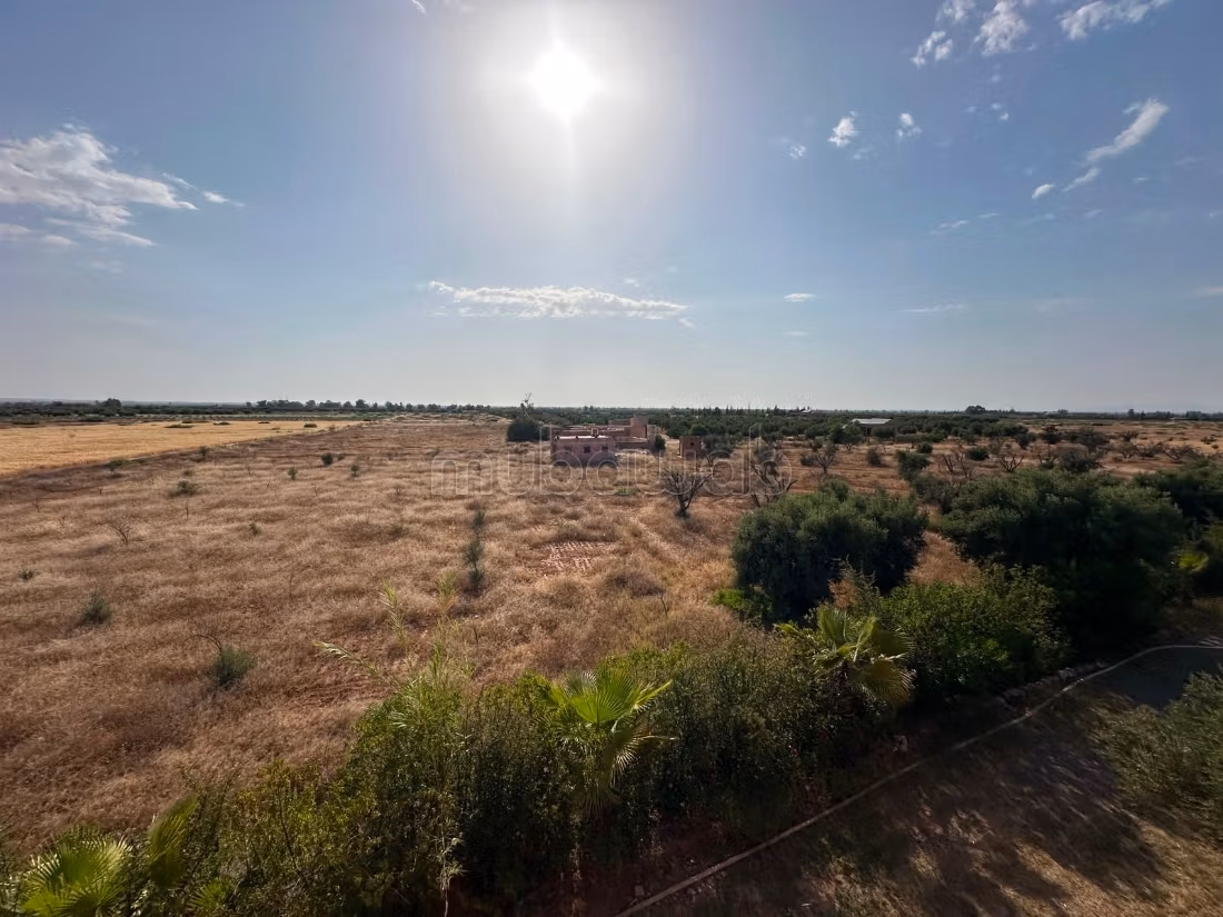 Grond van 1,5 Ha 30 Olijfbomen in Marrakech