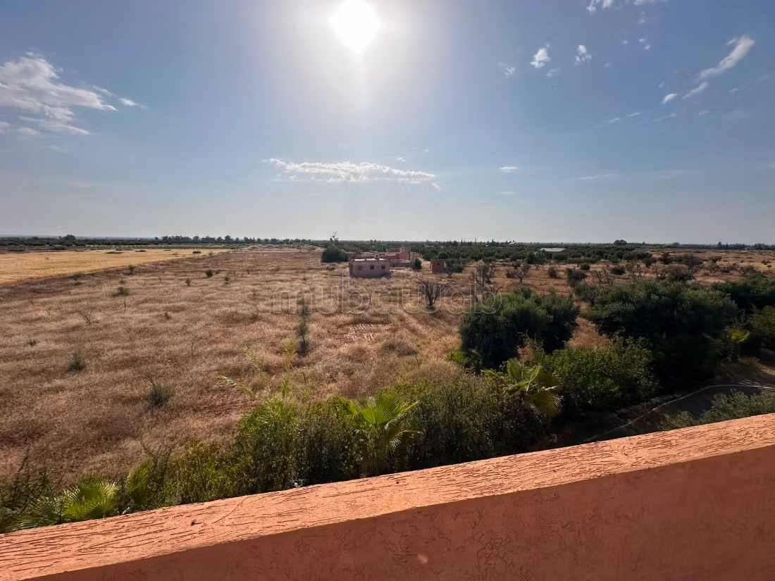 Grond van 1,5 Ha 30 Olijfbomen in Marrakech