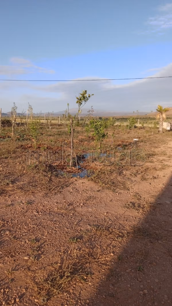 Beau terrain à la vente à Guenfouda. Surface totale 9000 m²