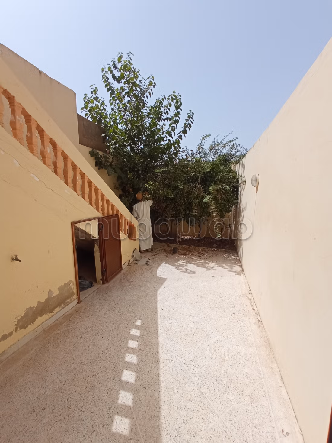 Semi villa in affitto