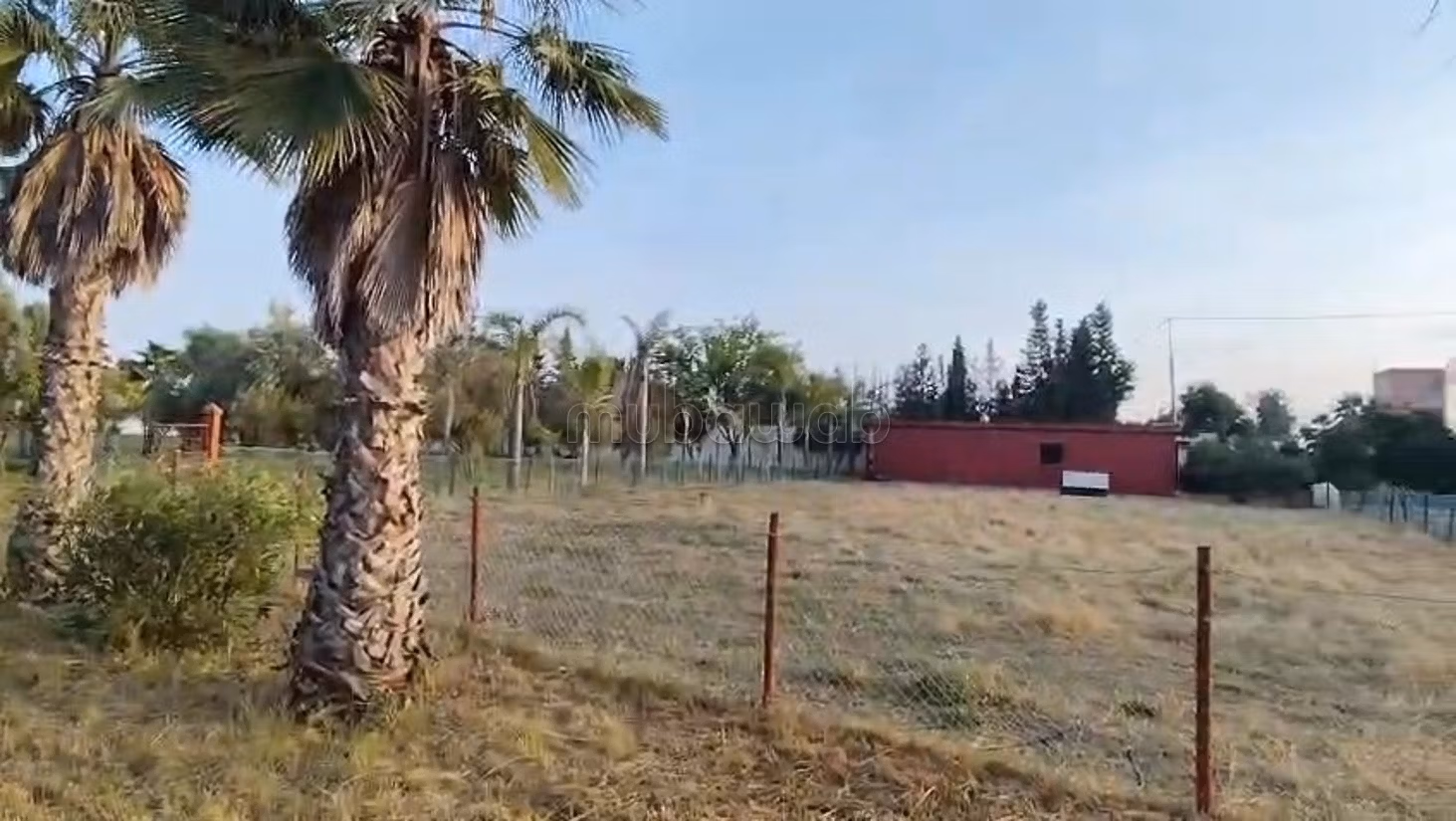 Granja titulada en venta a 7 km de Benslimane