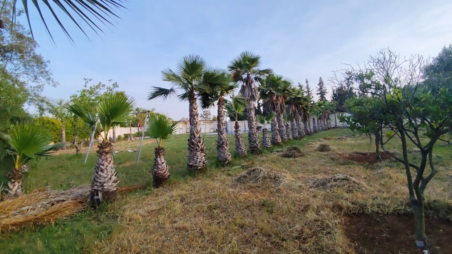 Granja titulada en venta a 7 km de Benslimane