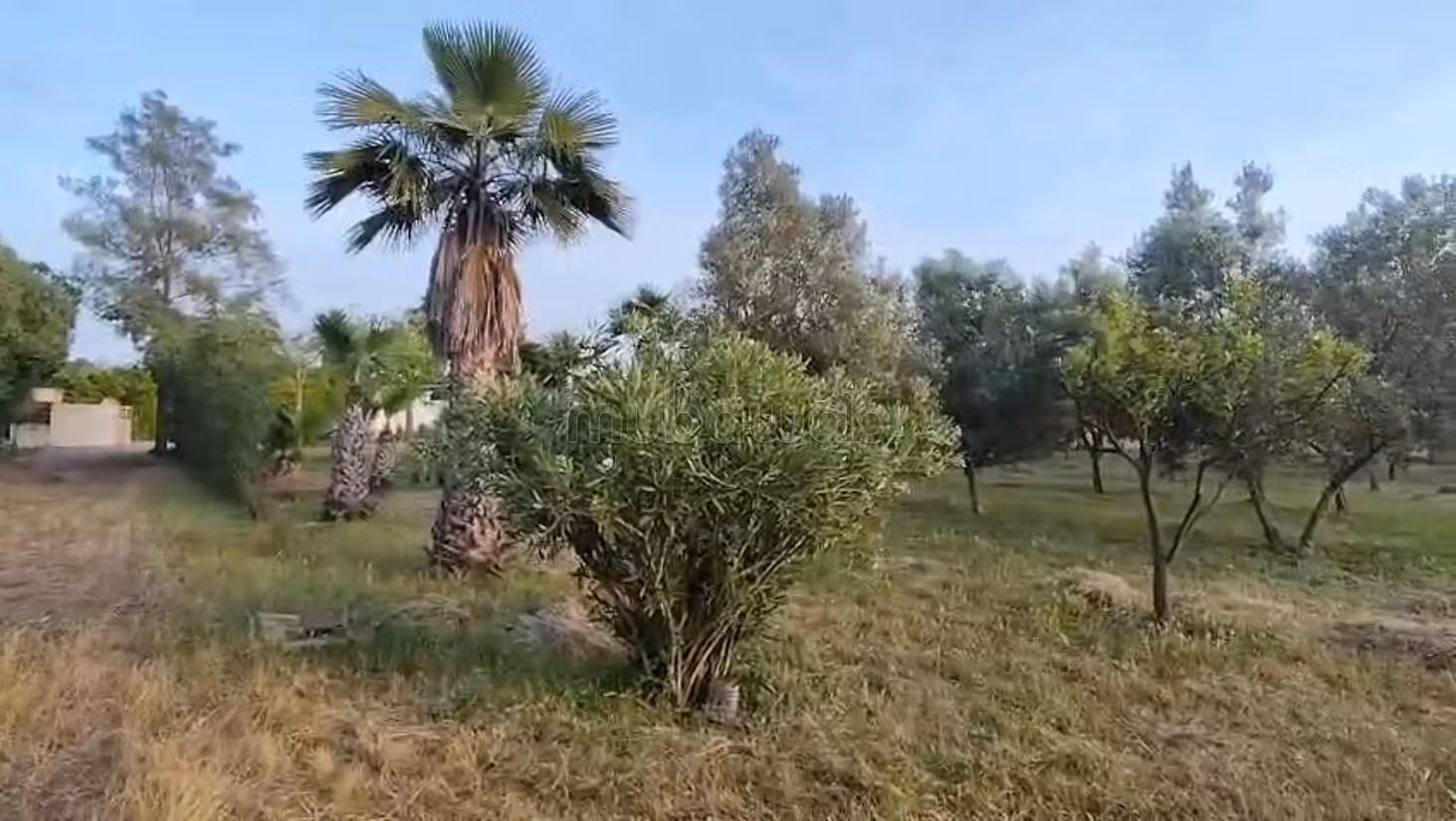 Granja titulada en venta a 7 km de Benslimane