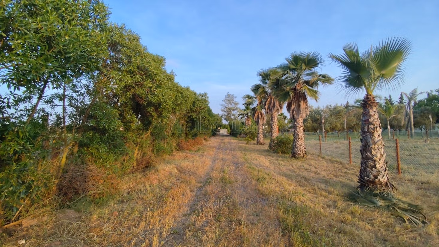 Granja titulada en venta a 7 km de Benslimane