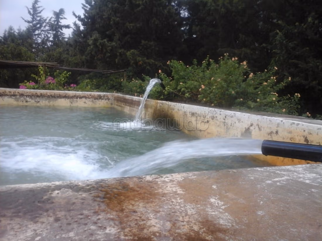 11-hectare farm in Soliman Nabeul