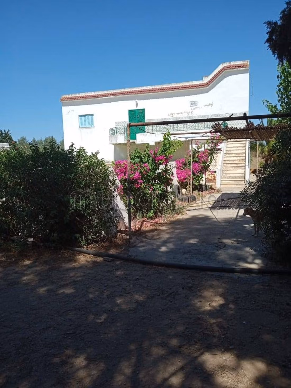 11-hectare farm in Soliman Nabeul