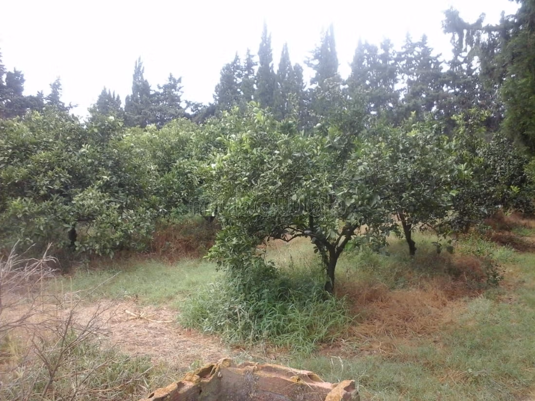 11-hectare farm in Soliman Nabeul