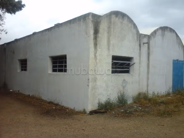 11-hectare farm in Soliman Nabeul
