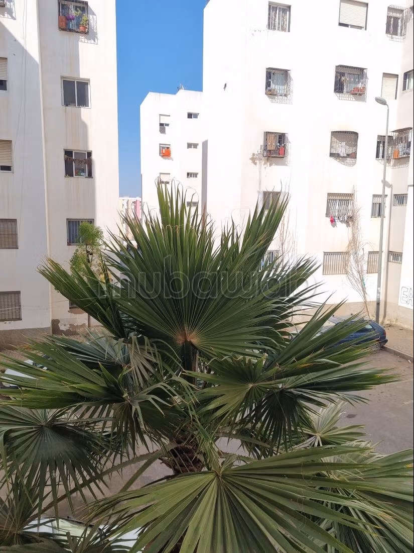 Appartement te koop in Sebit Casablanca Al Bader. 3 mooie kamers. 24/7 beveiligd